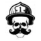 Stache Salt logo