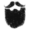 Texas Beard Company logo