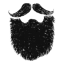 Texas Beard Company logo