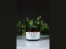 Peppermint 2 oz
